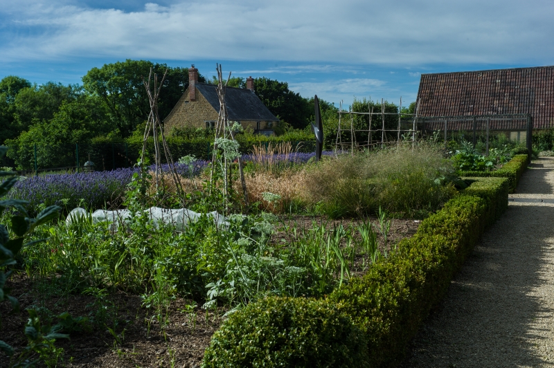 Wyke Farm